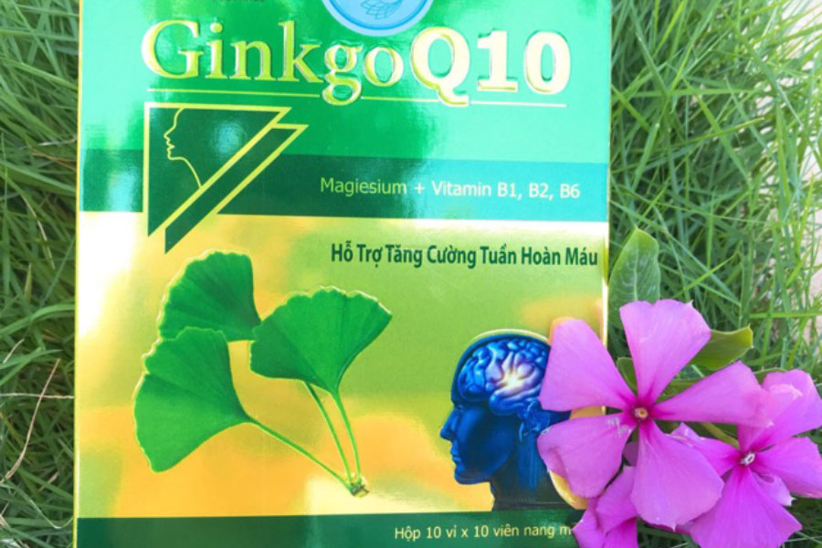 Ginkgo Q10 hỗ trợ tăng cường tuần hoàn máu não, bổ não, bổ thần kinh